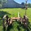 oliver-horse-drawn-sickle-mower-image-3