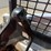 2019-bobcat-t450-image-28