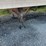 2000-fruehauf-trailer-image-5