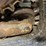 bobcat-t770-image-15