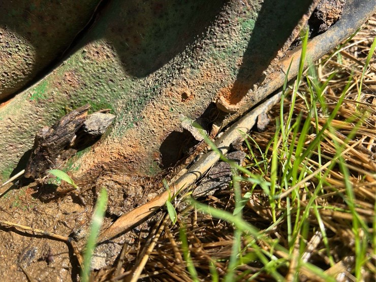 oliver-1-bottom-plow-image-17