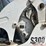 bobcat-s300-image-16