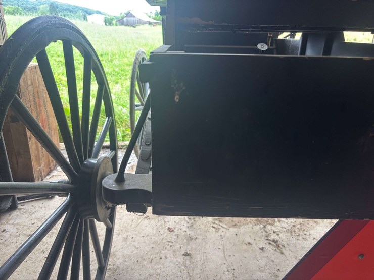 david-williams-2-seater-buggy-image-37