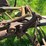 oliver-horse-drawn-sickle-mower-image-12