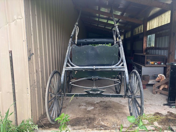 david-williams-2-seater-buggy-image-5