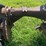 massey-ferguson-4-image-26