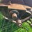 oliver-horse-drawn-sickle-mower-image-19