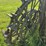 oliver-skeleton-steel-wheels-image-4