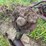 (2)-oliver-widefront-ends-image-4