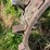 oliver-cut-off-steel-wheels-image-2