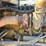 2000-kenworth-w900-image-26