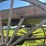 horse-drawn-buggy-image-17