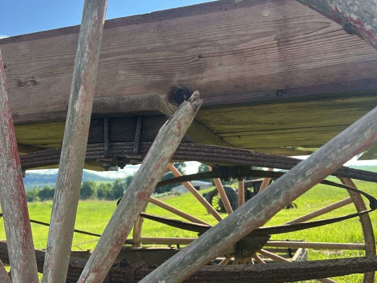 horse-drawn-buggy-image-17