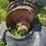 oliver-3-bottom-plow-image-25