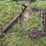(2)-oliver-widefront-ends-image-1