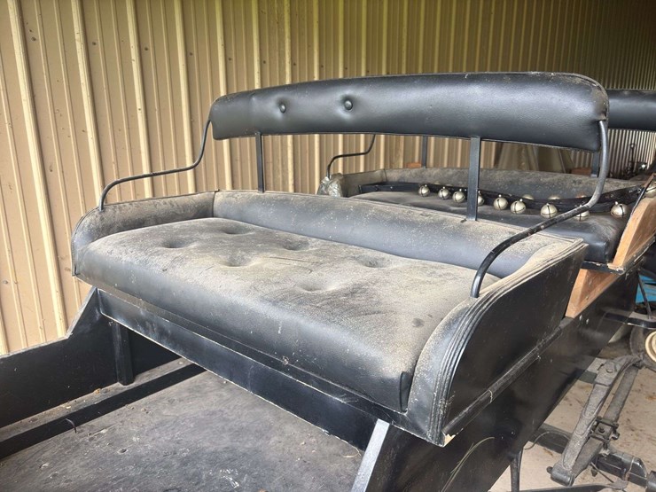 david-williams-2-seater-buggy-image-55