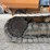 2019-case-650m-lgp-image-17