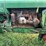 oliver-80-image-21