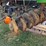 john-deere-630-image-8