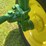 1964-john-deere-3020-image-35
