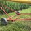 westfield-mk100-61-pto-auger-w/-hyd-lift,-swing-hopper,-10”-x-61’-image-7