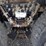 2016-peterbilt-348-image-17