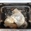 echo-srm-225-weedeater,-container-image-5