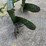 john-deere-412-image-5