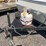#6294a-•-1997-damon-camplite-complete-pop-up-camper-(no-title)-image-9