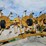 vermeer-te330-image-4