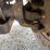 2004-ford-f250-image-17