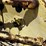 john-deere-670-image-10