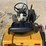 international-cub-image-2