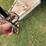 1993-tru-trail-2-horse-trailer-image-14