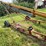 koyker-super-85c-pto-auger,-winch-cable-lift,-needs-(2)-tires,-8”x-approximately-61’-image-4