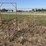 l1---livestock-entry-gate-image-2