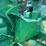 1964-john-deere-3020-image-90