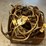 ms1---box-of-assorted-antlers-image-3