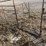 l1---livestock-entry-gate-image-4