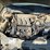 2000-ford-2000-image-10