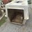 pet-kennel-image-2