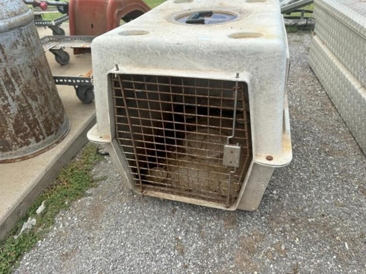 pet-kennel-image-2