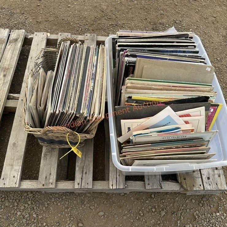 Lot Assorted- 33 RPM Records