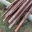 25-count--6'-t-posts-image-3