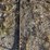 l1---livestock-entry-gate-image-3