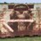iron-bin,-54”x85”x-54”-tall-image-3