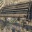 l1---cattle-panels-image-3
