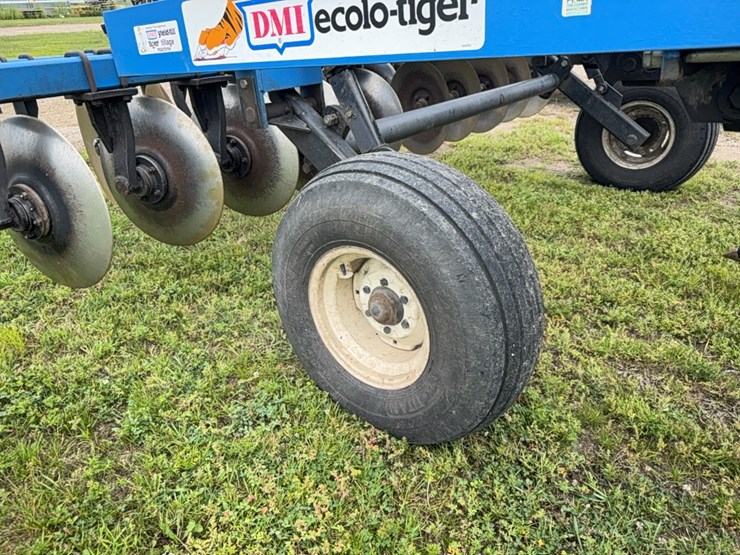 dmi-tiger-image-11