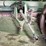 loftness-20’-stalk-chopper-image-4