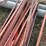 25-count--6'-t-posts-image-3